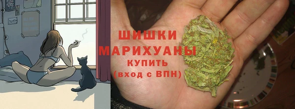 эйфоретик Горнозаводск