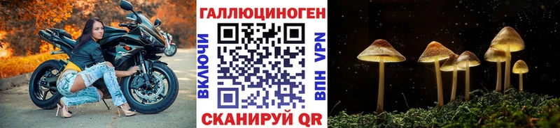 Купить закладки  Северо-Курильск  Галлюциногенные грибы прущие грибы 